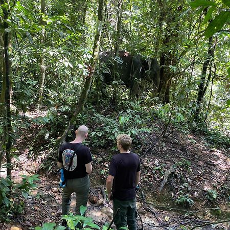 Green Forest Tangkahan المظهر الخارجي الصورة