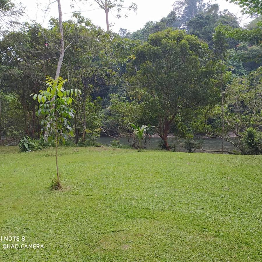 Green Forest Tangkahan المظهر الخارجي الصورة