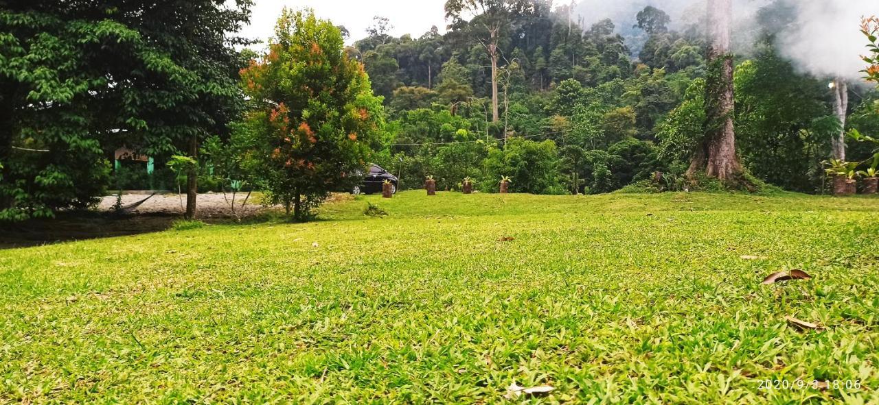 Green Forest Tangkahan المظهر الخارجي الصورة