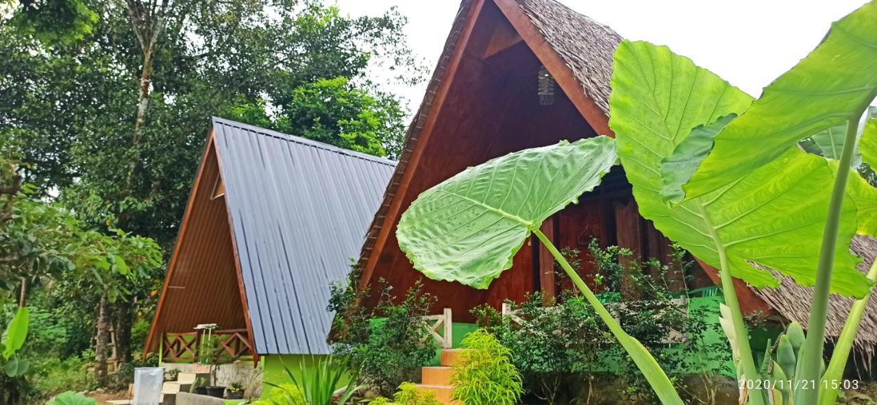 Green Forest Tangkahan المظهر الخارجي الصورة