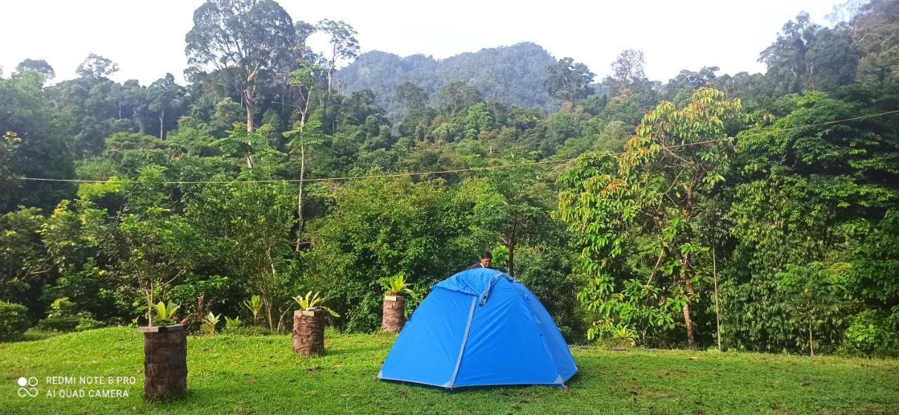 Green Forest Tangkahan المظهر الخارجي الصورة