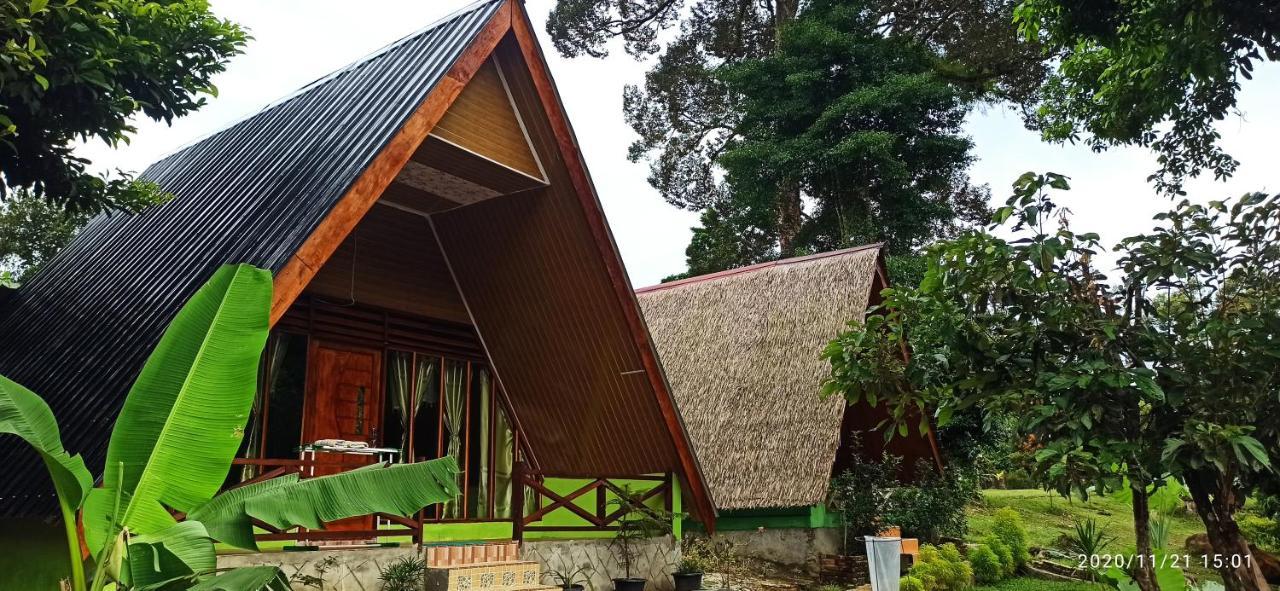 Green Forest Tangkahan المظهر الخارجي الصورة