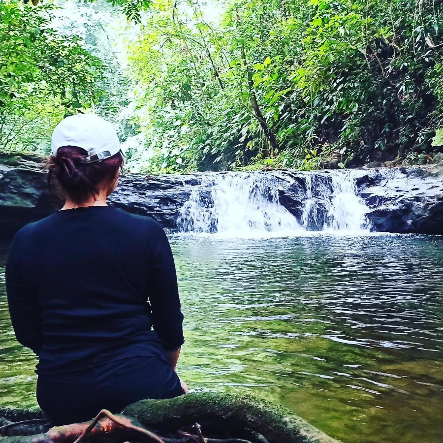Green Forest Tangkahan المظهر الخارجي الصورة