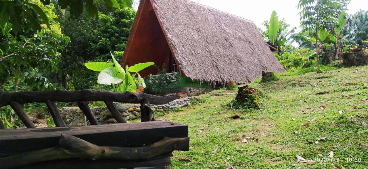 Green Forest Tangkahan المظهر الخارجي الصورة