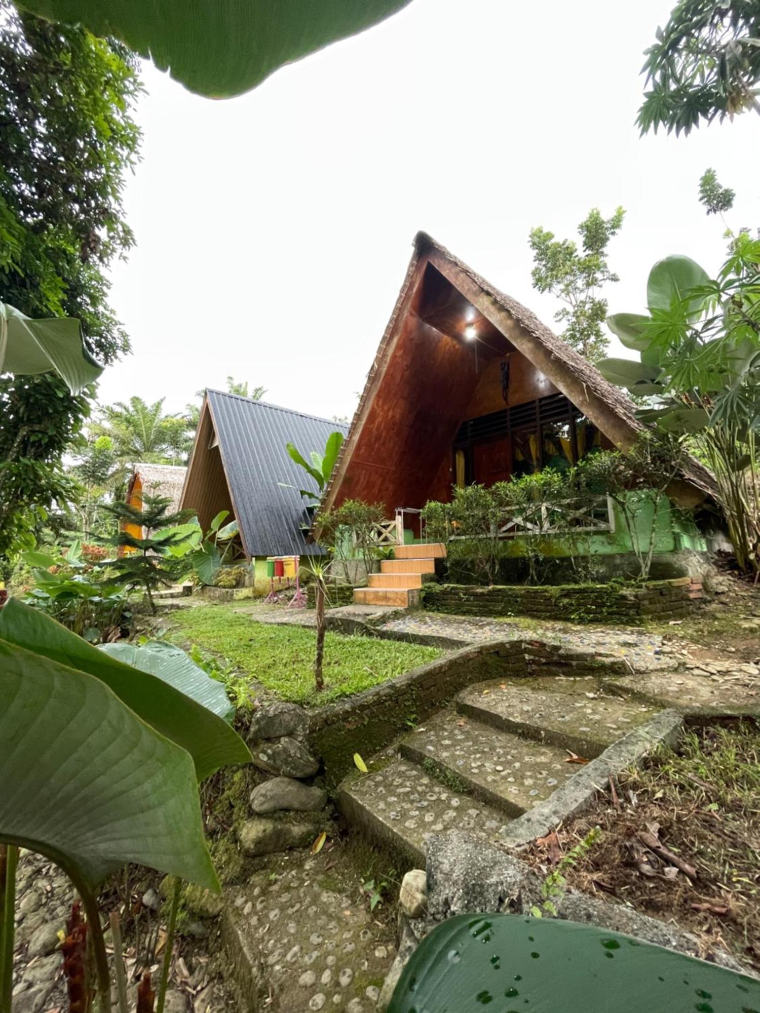Green Forest Tangkahan المظهر الخارجي الصورة