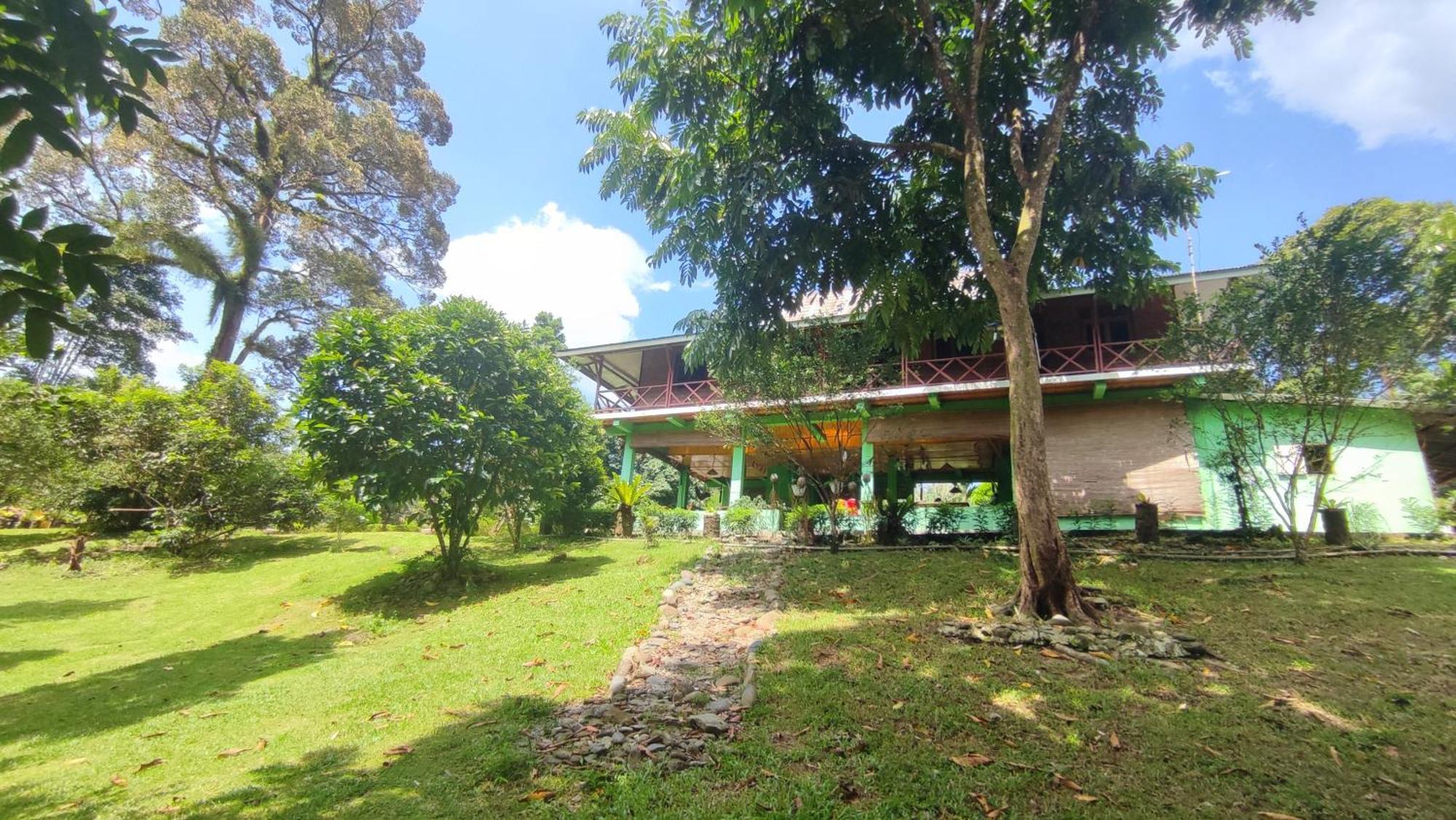 Green Forest Tangkahan الغرفة الصورة