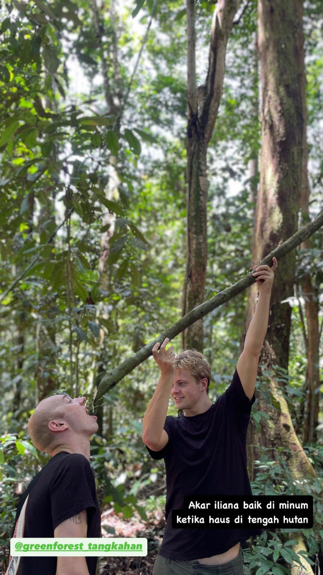 Green Forest Tangkahan المظهر الخارجي الصورة