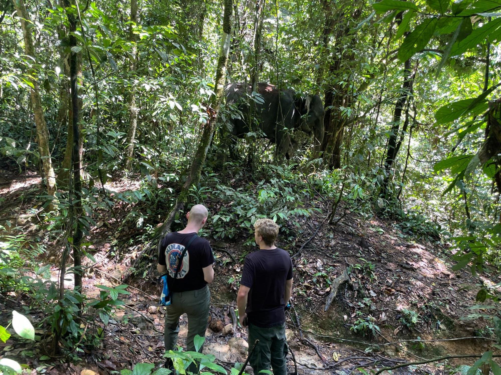 Green Forest Tangkahan المظهر الخارجي الصورة