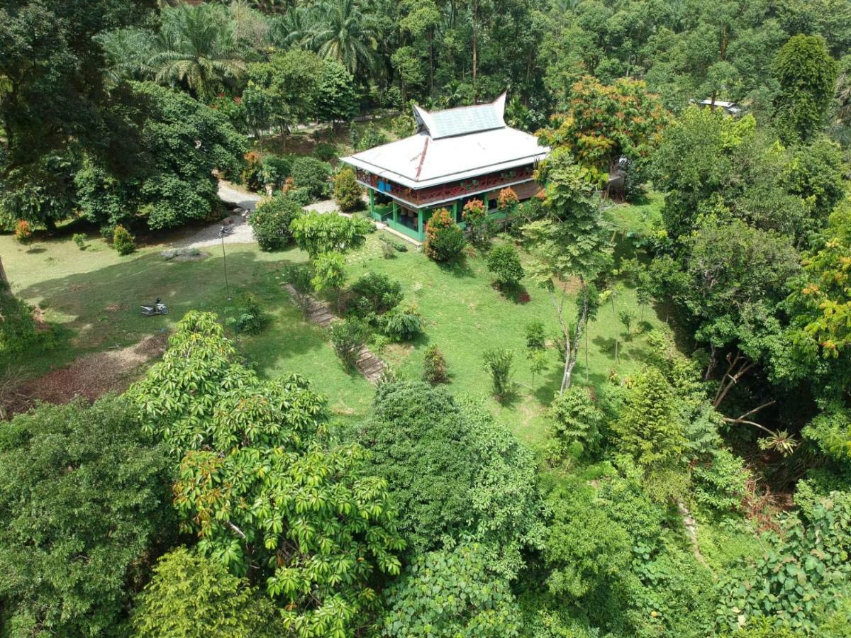 Green Forest Tangkahan المظهر الخارجي الصورة