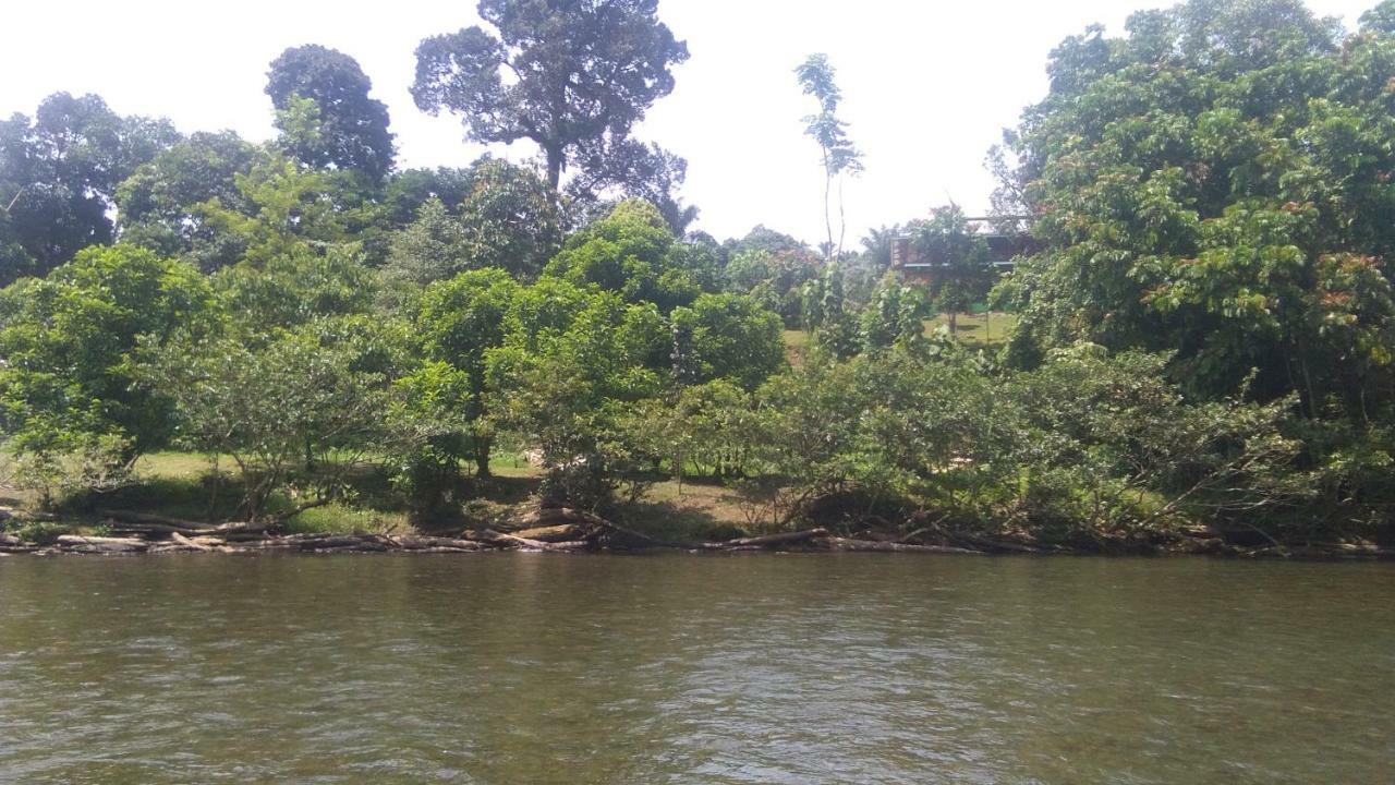 Green Forest Tangkahan المظهر الخارجي الصورة