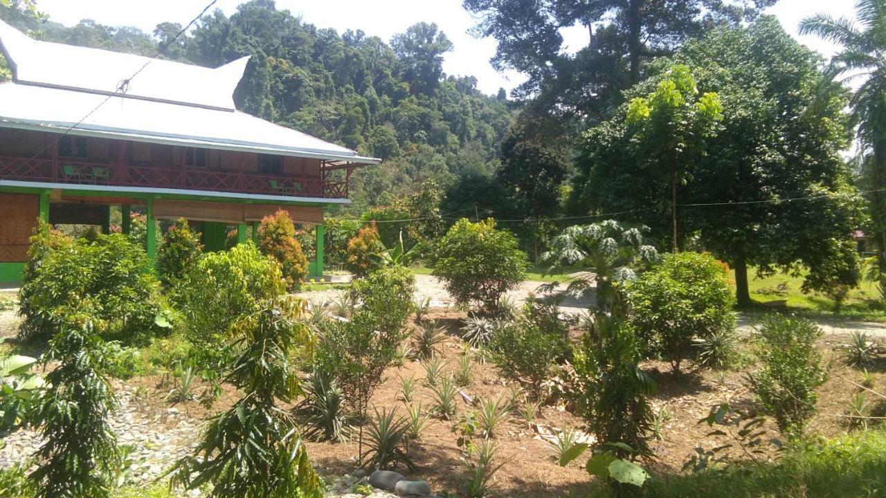 Green Forest Tangkahan المظهر الخارجي الصورة