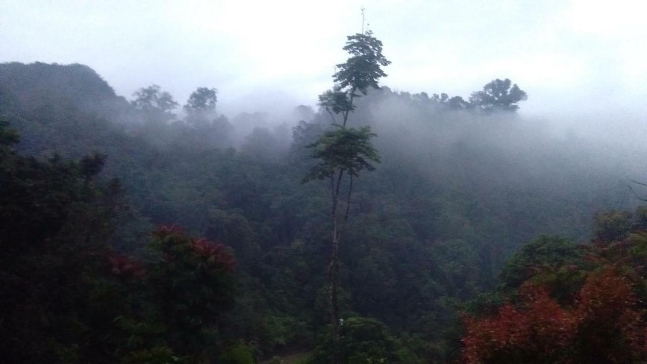 Green Forest Tangkahan المظهر الخارجي الصورة