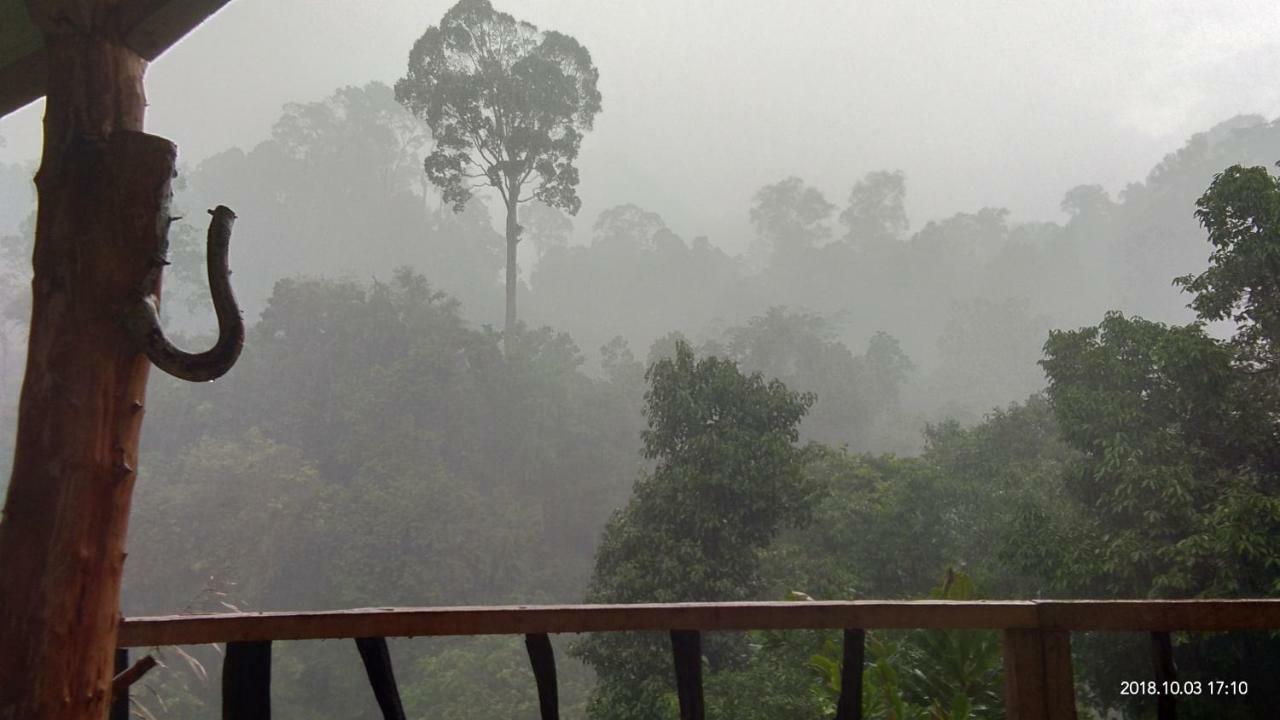 Green Forest Tangkahan المظهر الخارجي الصورة