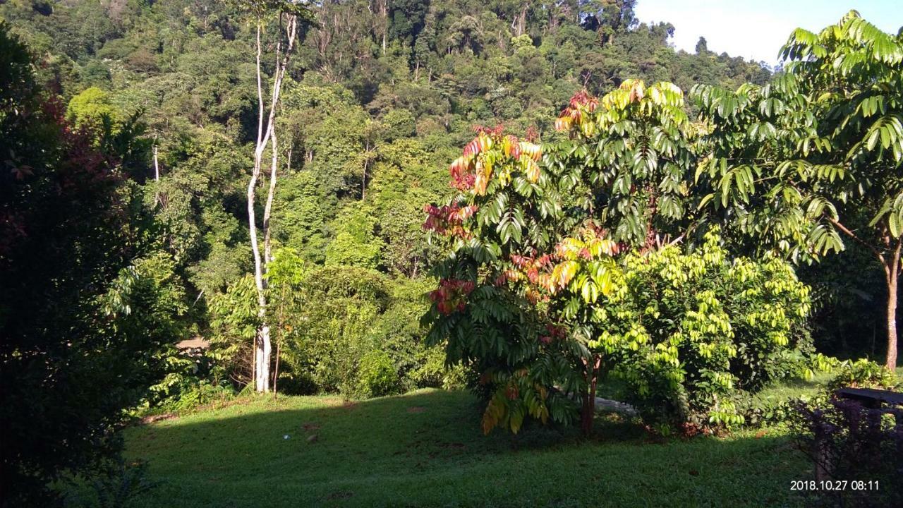 Green Forest Tangkahan المظهر الخارجي الصورة