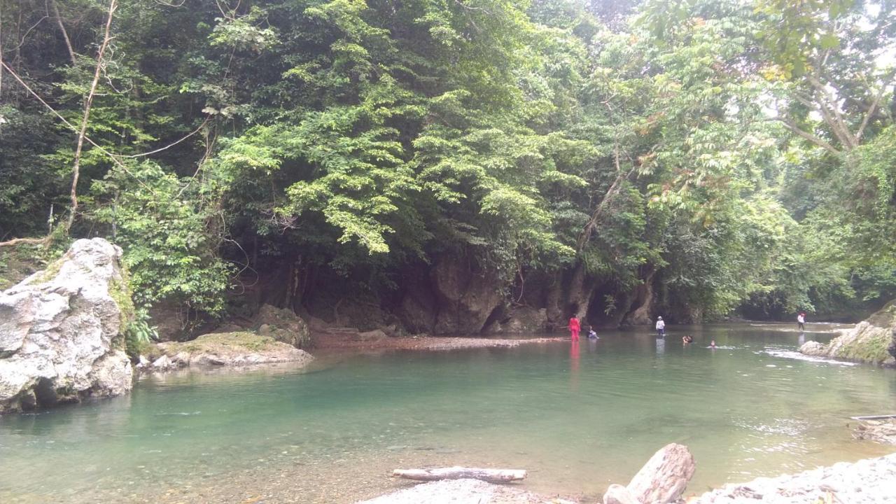 Green Forest Tangkahan المظهر الخارجي الصورة