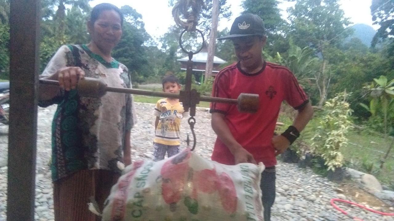 Green Forest Tangkahan المظهر الخارجي الصورة