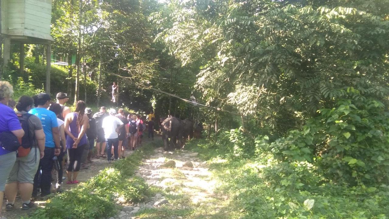 Green Forest Tangkahan المظهر الخارجي الصورة
