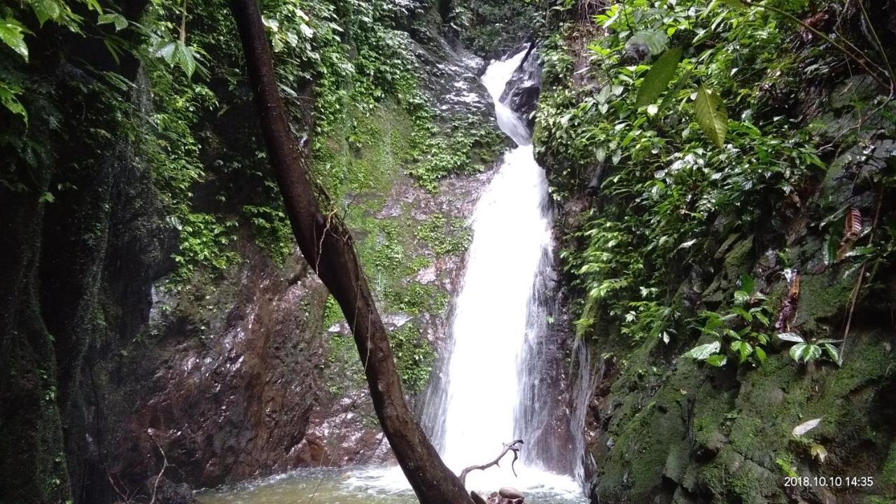 Green Forest Tangkahan المظهر الخارجي الصورة