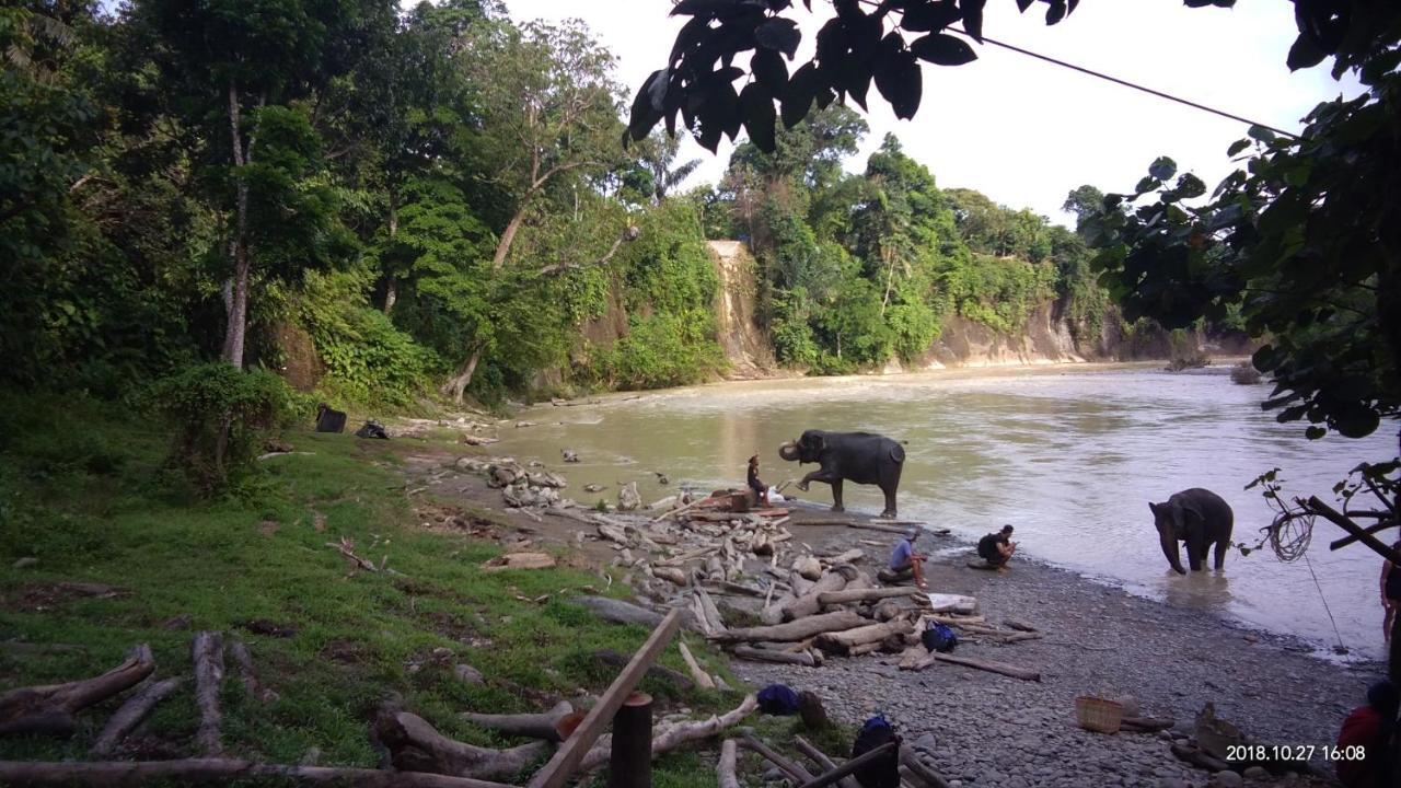 Green Forest Tangkahan المظهر الخارجي الصورة
